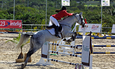 Promovendo o hipismo