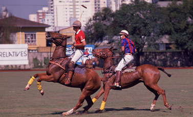 Polo na Koch Tavares